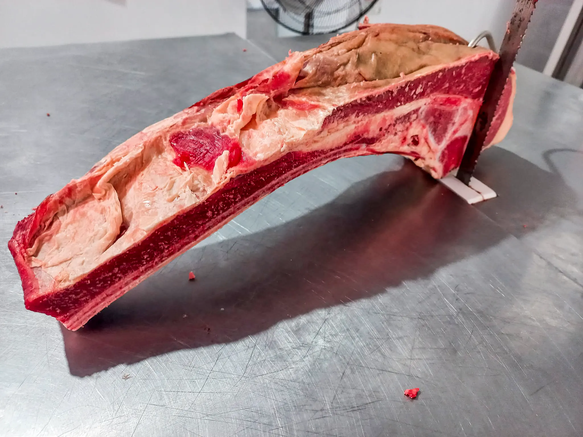 421701370_7159355854110124_5352778402366312572_n