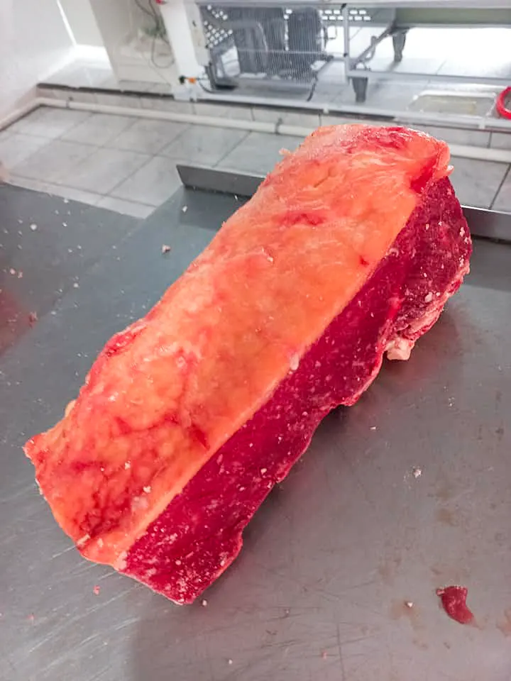 422238527_7159353657443677_586831359760721344_n