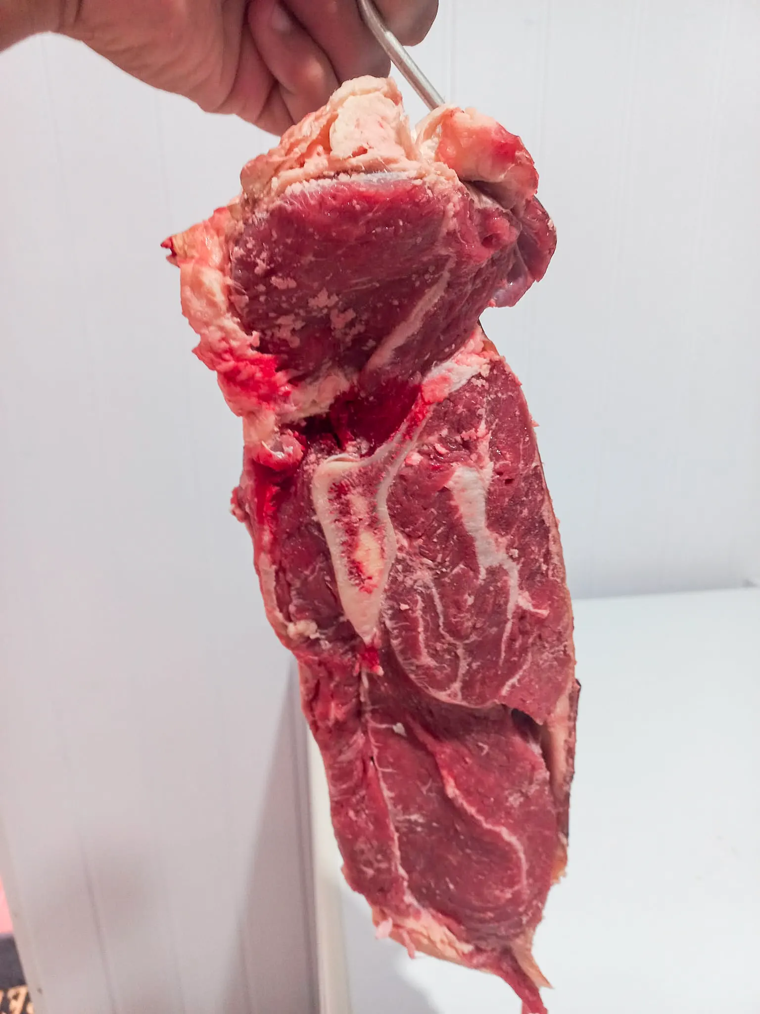 426371528_7217190351660007_2507775948172502702_n