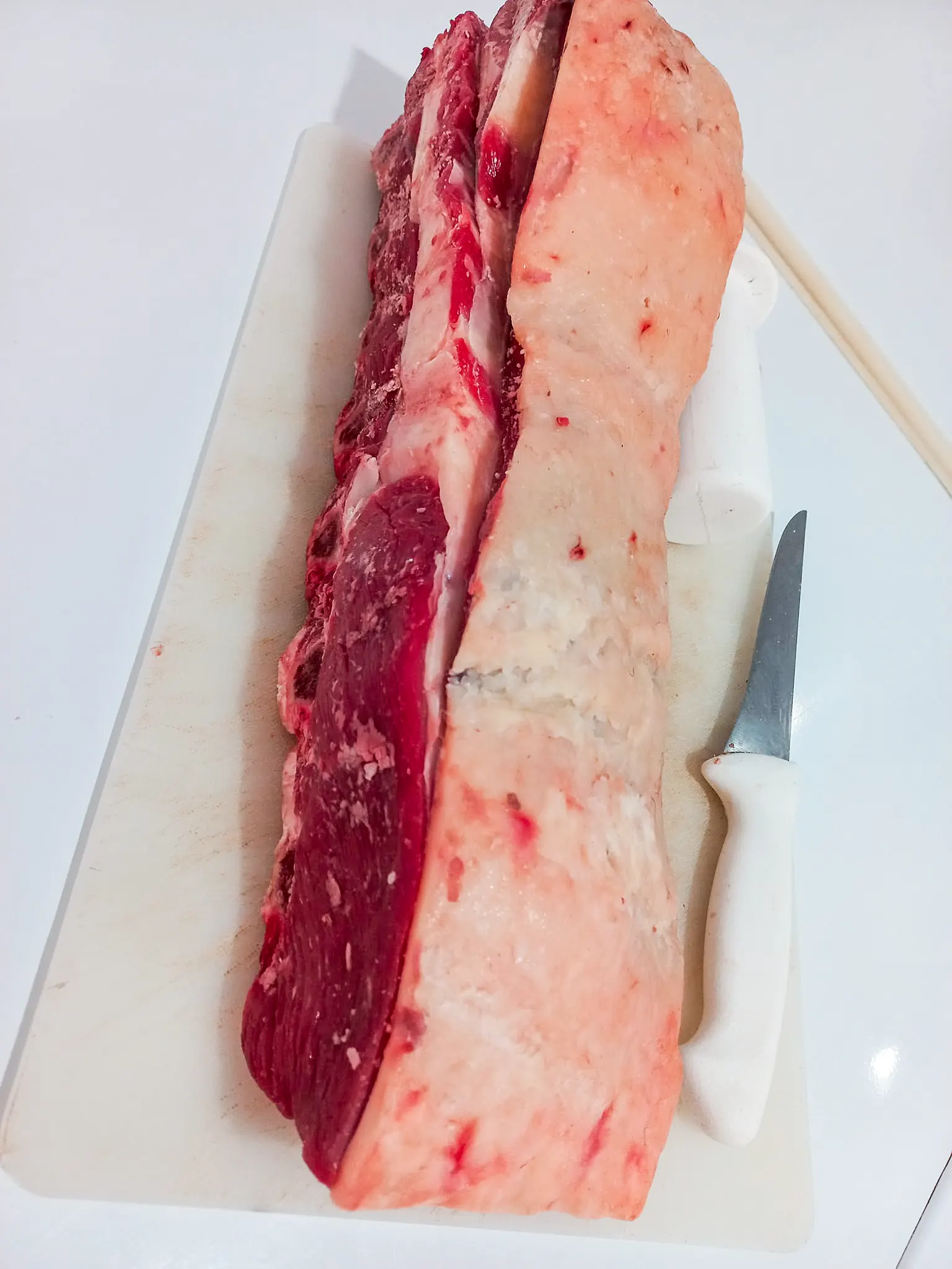 429571039_7327345020644539_4525555207548482309_n