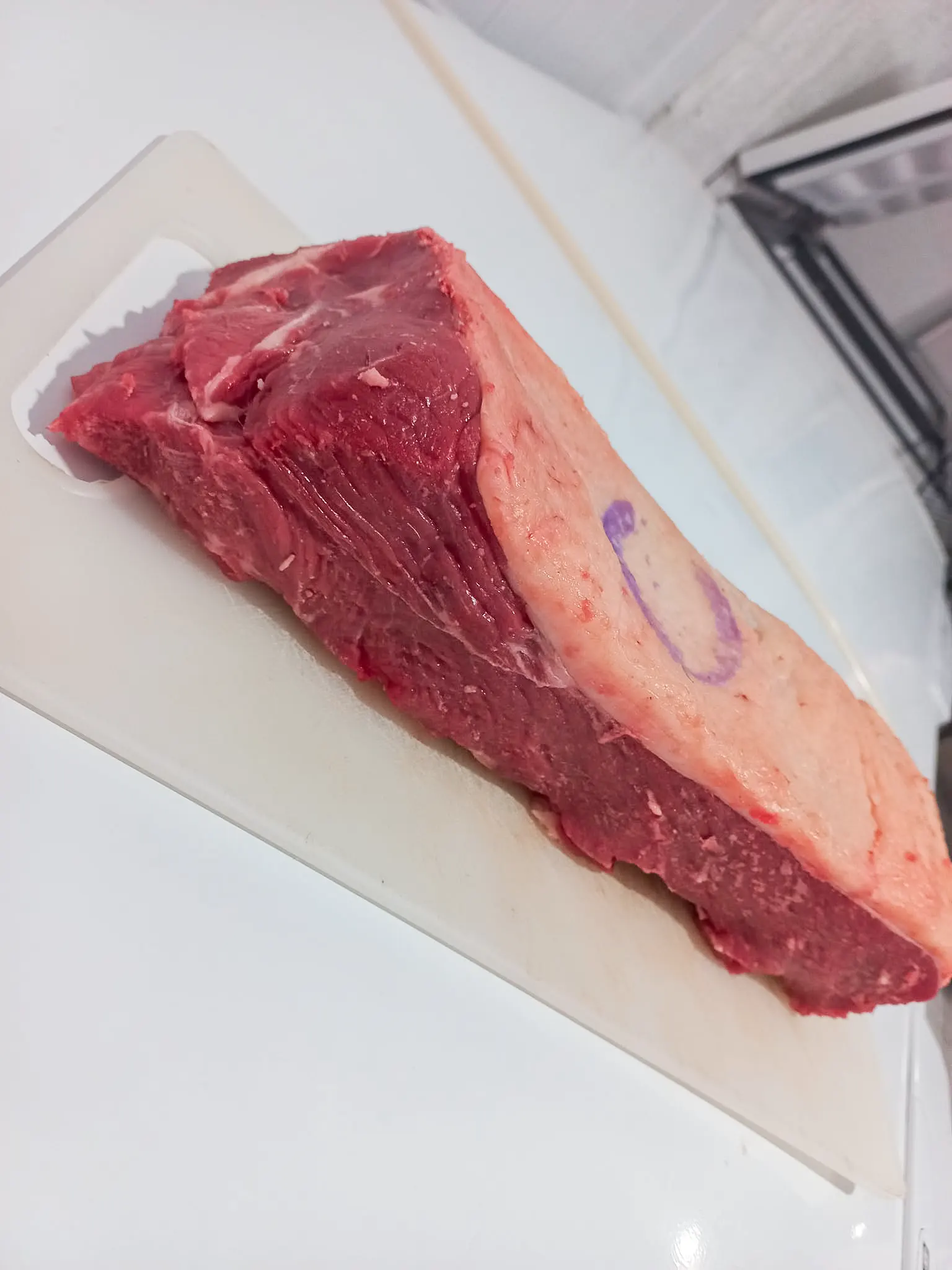 429590038_7327344347311273_3353286775901731611_n