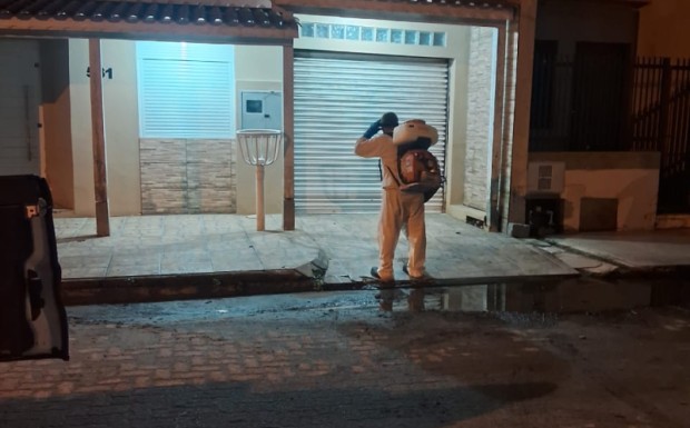 Foto de capa da notícia: SMMA segue com execução do plano de ação para controle do carrapato