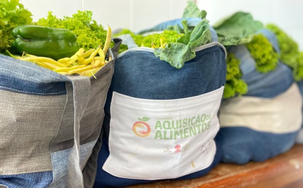 Foto de capa da notícia: 119 Famílias nortenses beneficiadas pelo Programa de Aquisição de Alimentos (PAA)