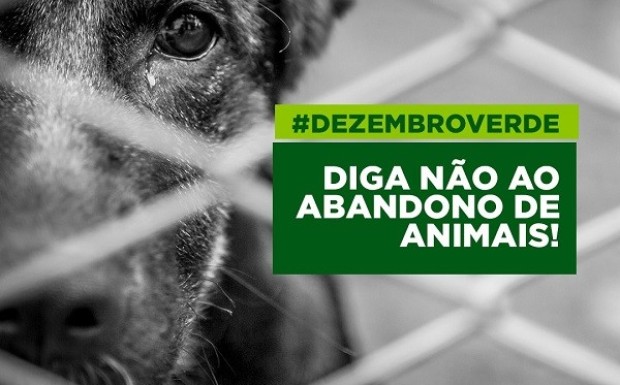 Foto de capa da notícia: Dezembro Verde: Juntos contra o abandono e os maus-tratos aos animais