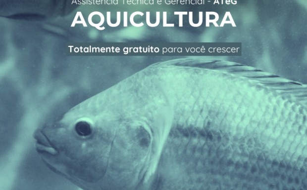 Foto de capa da notícia: Inscrições para o grupo de Aquicultura estão abertas